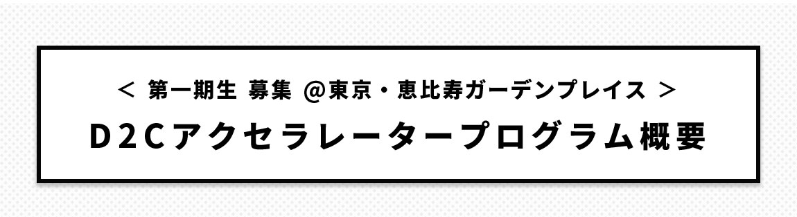 D2Cアクセラレータプログラム